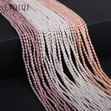 Freshwater Pearl Beaded Rice Shape Punch Beads for Jewelry Making
