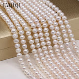 Natural Freshwater Pearl Beads for Jewelry DIY
