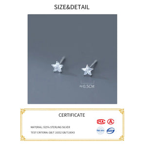 Tiny Star Stud Earrings 925 Sterling Silver for Women Girls