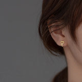 Silver 925 Ear Piercing Earrings for Women