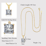 LaVixMia 316 Silver Princess Cut Pendant Necklace CZ Zircon Jewelry Gift