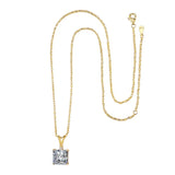 LaVixMia 316 Silver Princess Cut Pendant Necklace CZ Zircon Jewelry Gift