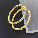 Lanyika Jewelry Simple Micro Inlay Party Earrings