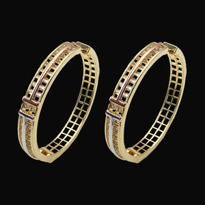 Lanyika Simpleness Line Micro Inlay Earrings