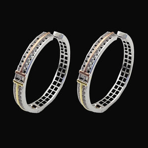 Lanyika Simpleness Line Micro Inlay Earrings