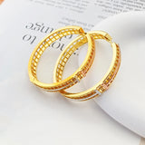 Lanyika Simpleness Line Micro Inlay Earrings
