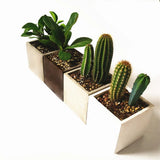 Large Square Concrete Flower Pot Silicone Mold Succulent Planter Mold