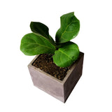 Large Square Concrete Flower Pot Silicone Mold Succulent Planter Mold