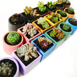Large Flower Pot Silicone Mold DIY Succulents Concrete Flower Pot Vase Plaster