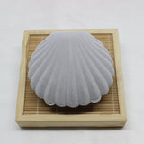 Large Shell Shape Jewelry Set Box Necklace Bracelet Earrings Ring Box