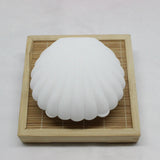 Large Shell Shape Jewelry Set Box Necklace Bracelet Earrings Ring Box