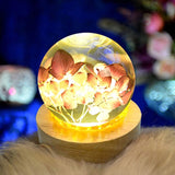 LED Crystal Ball Night Light Mold with Wooden Base Stand