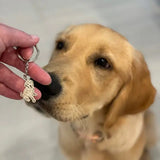 Pet Photo Pendant Keychain - Pet Jewelry For Dogs - Pet Memorial Keychain