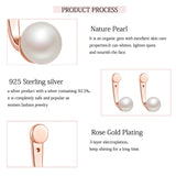 Laya 925 Silver Natural Freshwater Pearl Earrings For Women