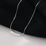 Lbyzhan Eggplant Shape Pendant Silver Tube Necklace Metal Chain Jewelry