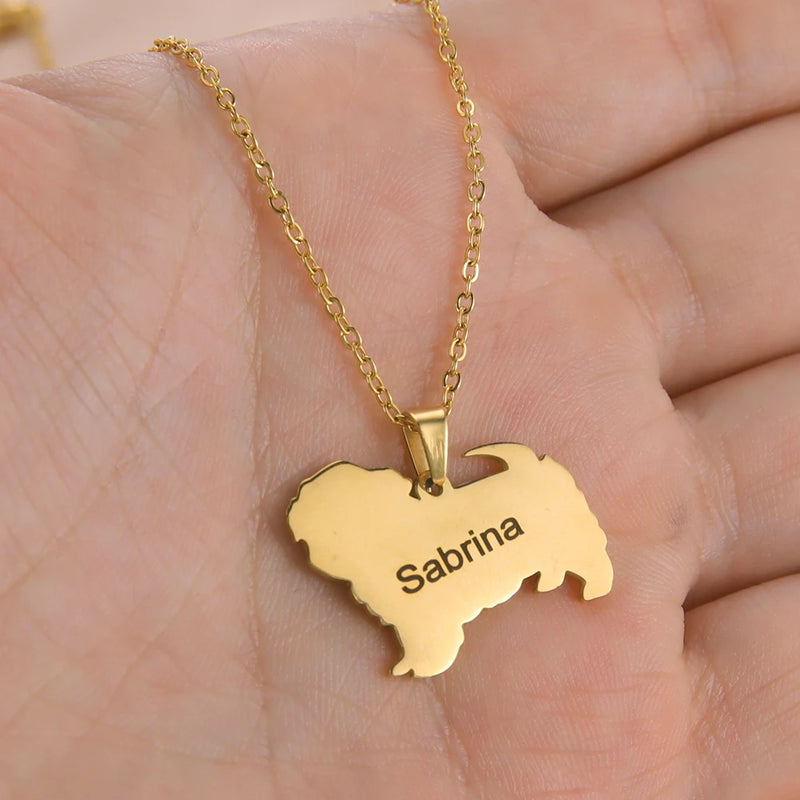 Personalized Lemegeton Pet Name Necklace - Stainless Steel