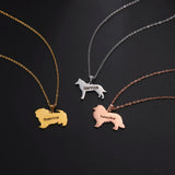 Personalized Lemegeton Pet Name Necklace - Stainless Steel
