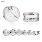 Leosoxs 2 Piece Acrylic Luminous Ear Studs