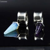 Leosoxs 2pcs Stainless Steel Auricle Piercing Ear Expansion