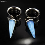 Leosoxs 2pcs Stainless Steel Auricle Piercing Ear Expansion