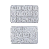 Resin Shaker Mold DIY Epoxy Silicone Mold for Jewelry Crafts