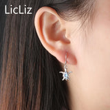 925 Silver Turtle Drop Earrings Opal Ear Hook LE0396