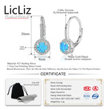 925 Silver Opal Hoop Earrings CZ Loop Huggie LE0394