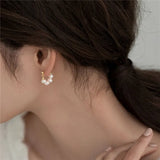 925 Silver Circle Pearls Earrings for Women - Charm Gift