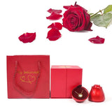 Light In Rose Pendant Gift Jewelry Box - Necklace Organizer