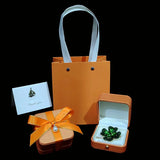 European-Style Light Orange Ring Box with Bag