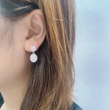 Light Temperament Zirconia Earrings S925 Sterling Silver Earrings