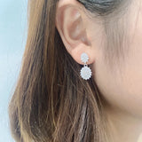 Light Temperament Zirconia Earrings S925 Sterling Silver Earrings