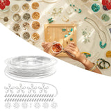 Link Chain Lobster Clasps, Cord Buckles for Necklace Making