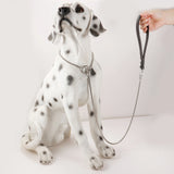 Stainless Steel Leather Dog Collar Rope Chain Necklace 1.2m
