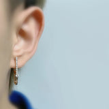 Long Zircon Pendant Rose Earrings for Women