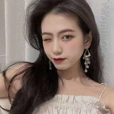 Crystal Tassel Earrings Women's Retro Silver Needle Ear Accessories