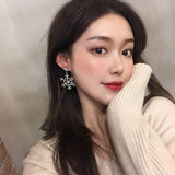 French Asymmetric Tassel Silver Earrings for Autumn Winter
