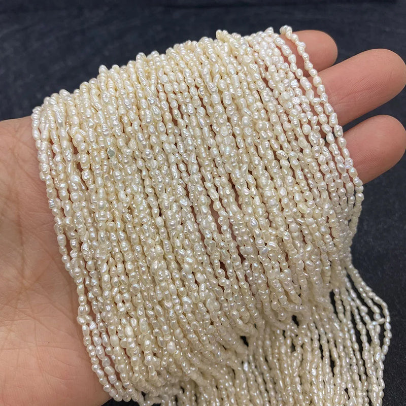 Loose Rice-shaped Freshwater Pearl Beads 2-3mm