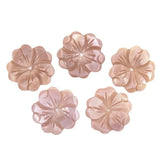 5 PCS Natural Queen Conch Shell Flower Charms 20mm DIY Bead