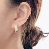 Sterling Silver Rose Earrings with Diamonds Clasp Stud