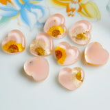 Resin Ear Stud Patch UV Epoxy Real Flower Dried Flower