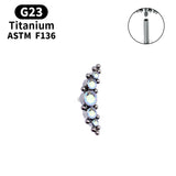 Titanium Cartilage Zircon Lip Stud Earrings