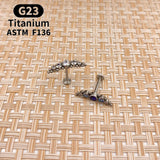 Titanium Cartilage Zircon Lip Stud Earrings