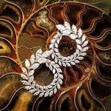 Olive Shape CZ Stud Earrings Crystal Earings Women Party Boucle d'oreille