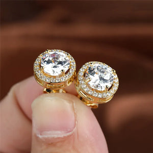 Crystal Round Stone Earrings Rose Silver Wedding Earrings Classic Zircon Stud Ea