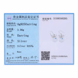 Snowflake Drop Earrings 925 Sterling Silver Women Christmas Jewelry