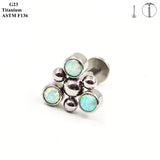 G23 Titanium Earrings Set with Zircon & Opal Women Ear Cartilage Nails
