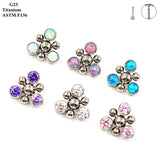G23 Titanium Earrings Set with Zircon & Opal Women Ear Cartilage Nails