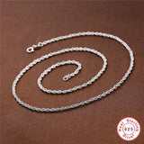 925 Silver Wild Ripple Clavicle Necklace Women S925 Stamp Long Chain