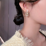 Zircon Circle Clasp Pendant Earrings For Woman
